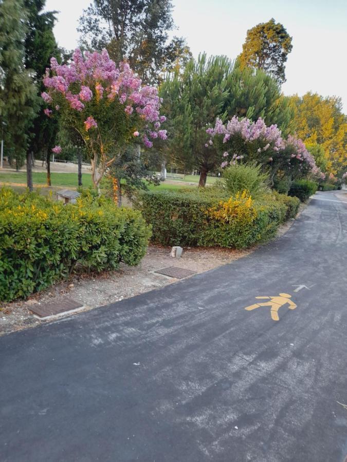 Casa Branca Villa Mealhada Kültér fotó